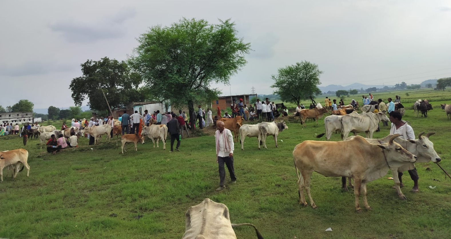 IMG-20250709-WA0630(2)