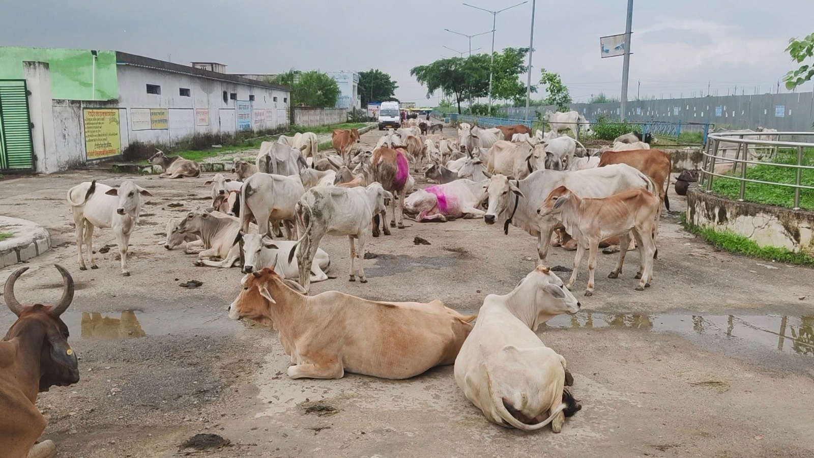 IMG-20250711-WA0661(1)