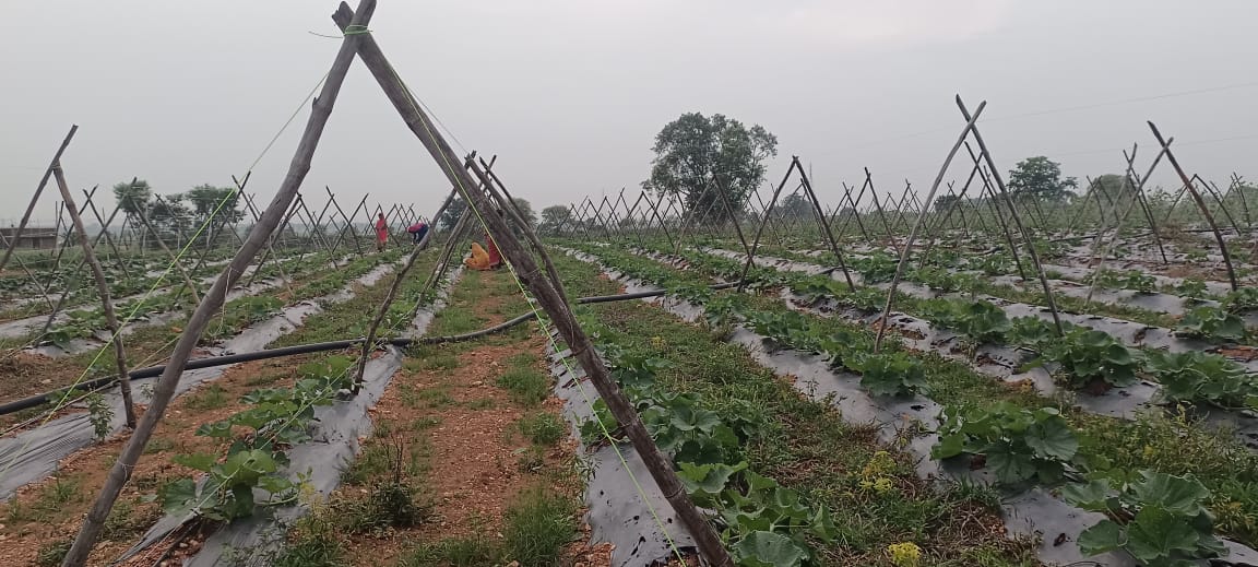 IMG-20250715-WA0618(1)