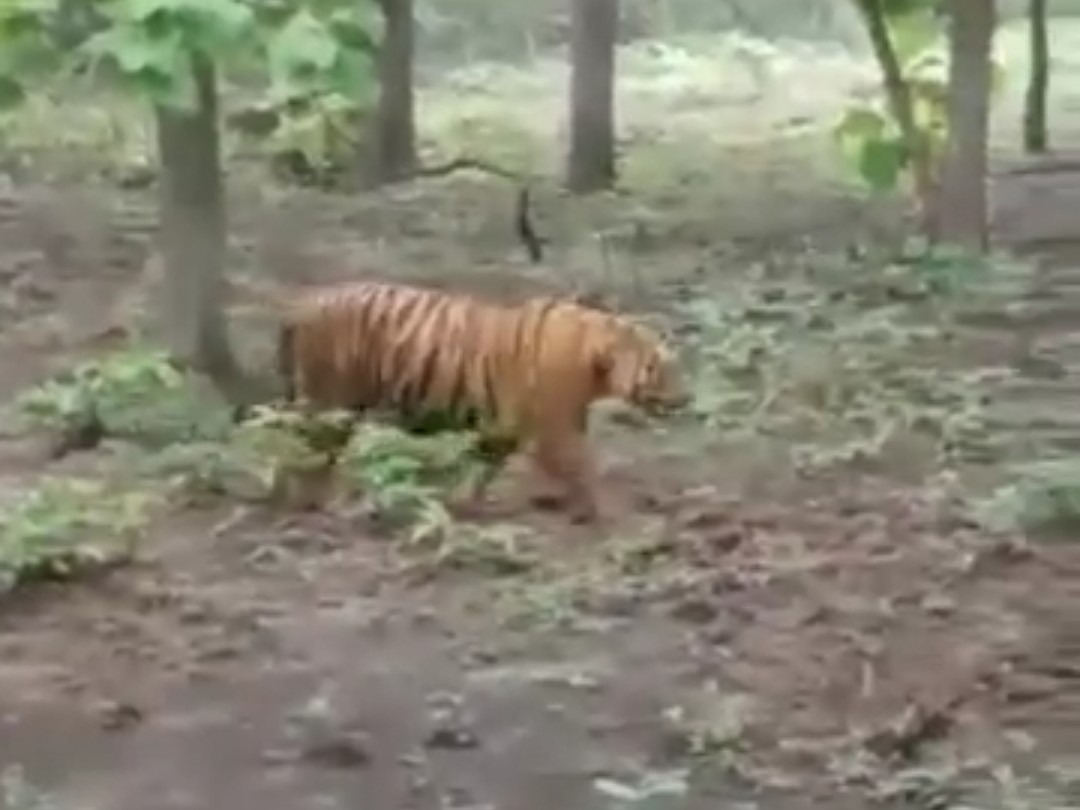 IMG-20250804-WA0619(1)