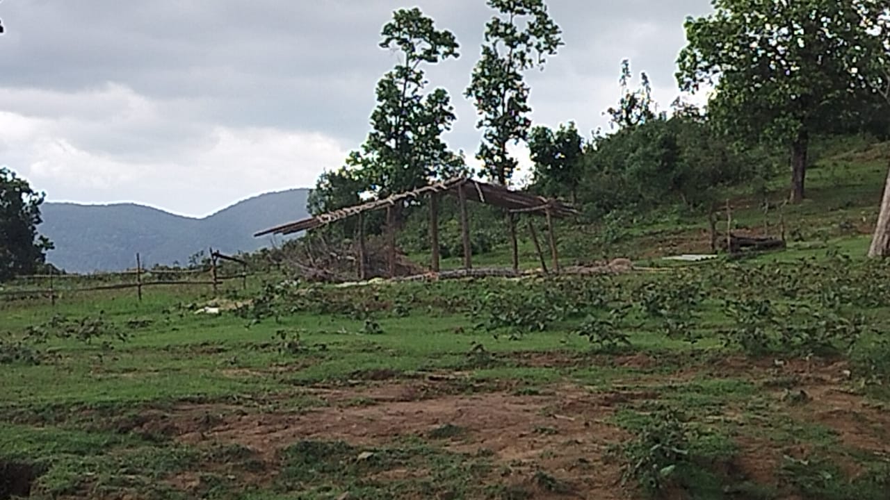 IMG-20250806-WA0480(2)