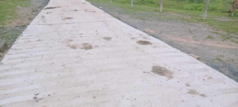 IMG-20250830-WA0123