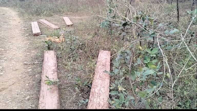 FB_IMG_1768231532667