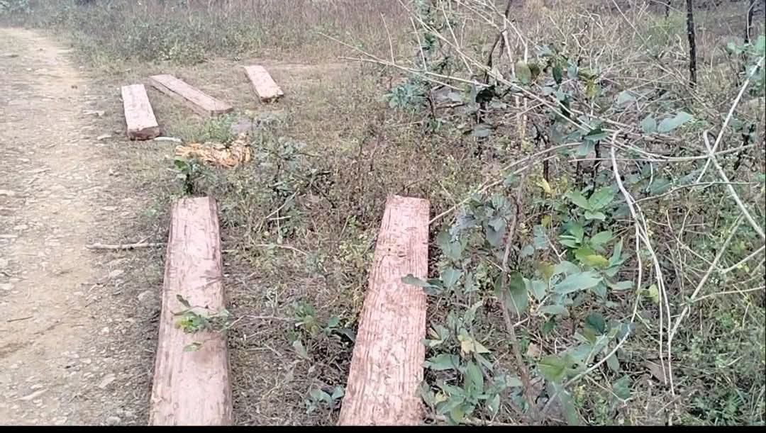 FB_IMG_1768231532667