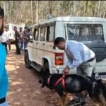 FB_IMG_1771936734873