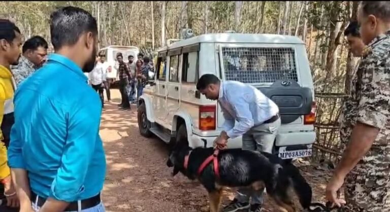 FB_IMG_1771936734873