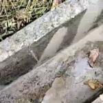 Screenshot_20260323-191100.Facebook