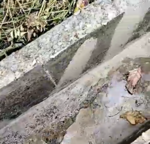 Screenshot_20260323-191100.Facebook